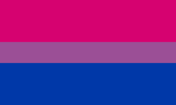 bi_flag